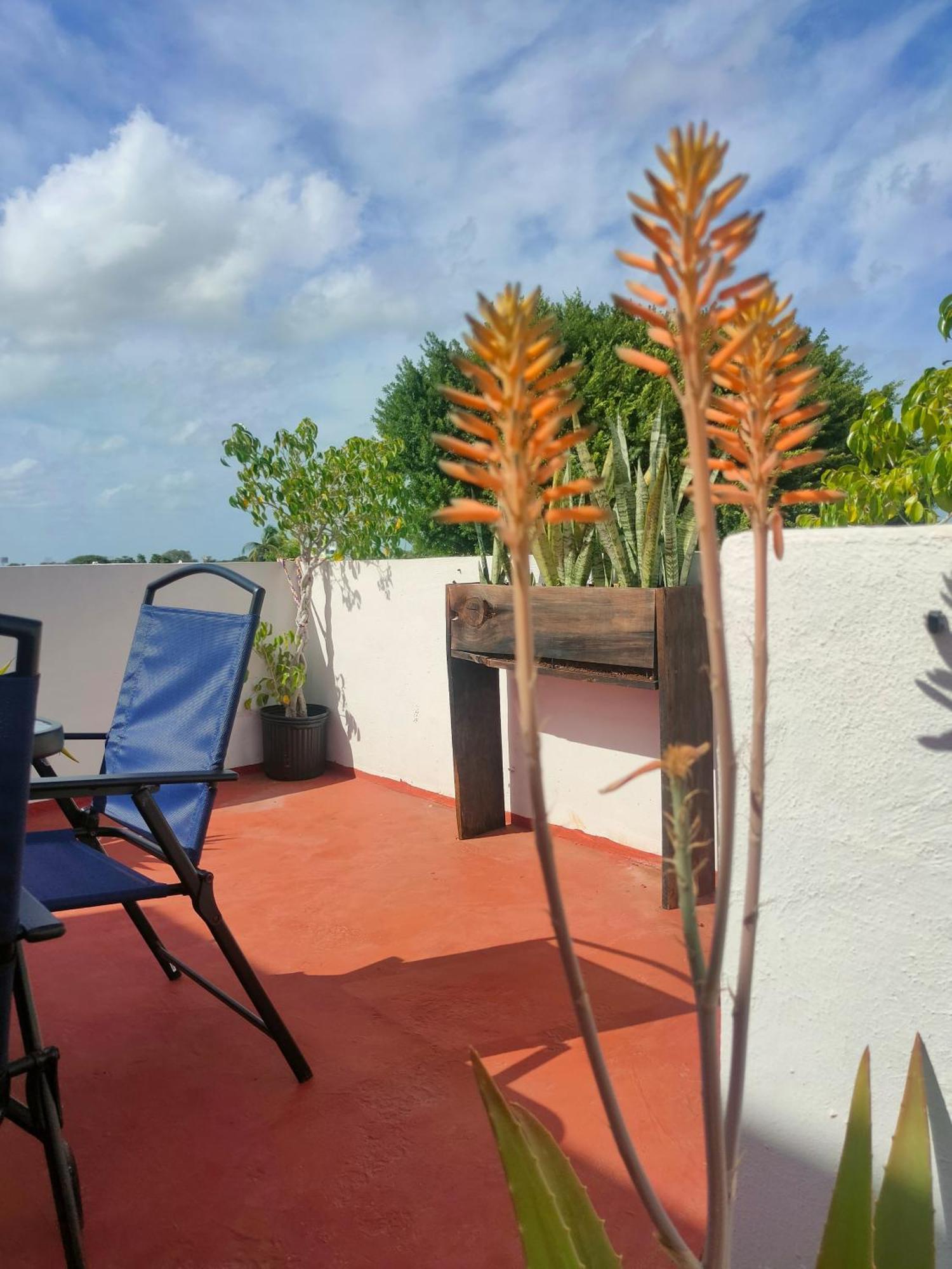 شقة Casa Coraza كانكون المظهر الخارجي الصورة