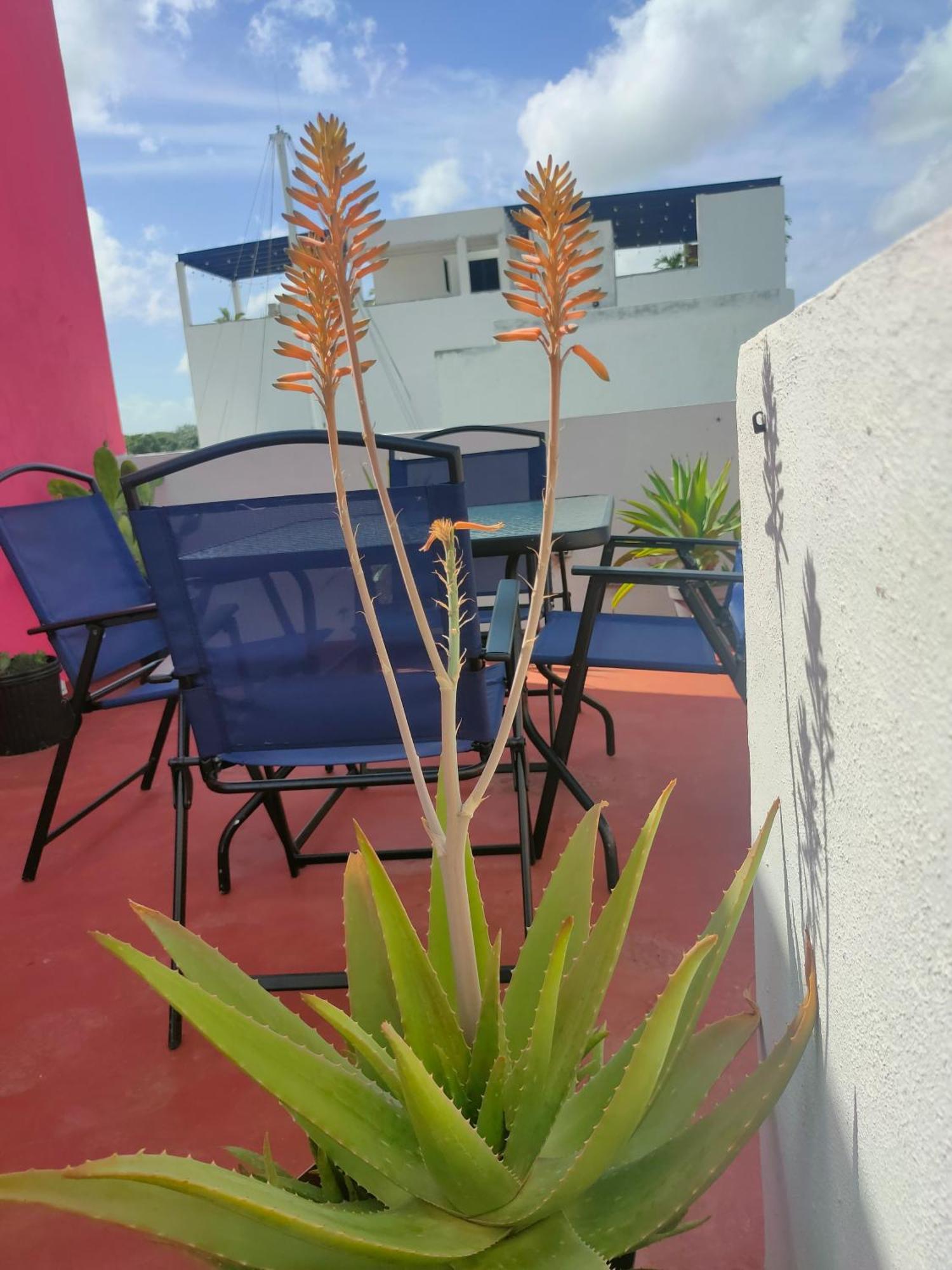 شقة Casa Coraza كانكون المظهر الخارجي الصورة